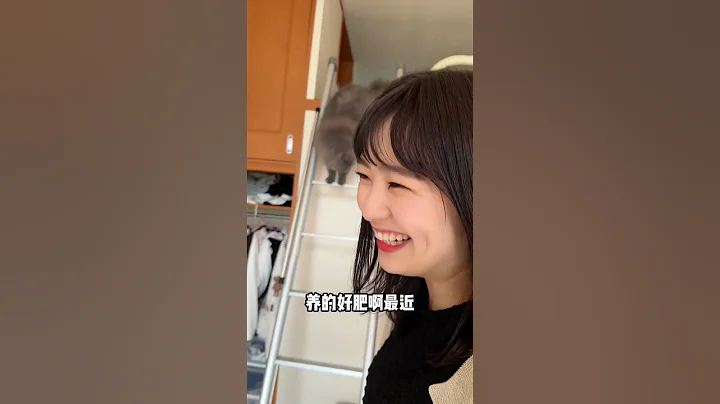 好几个月没见球球了，没想到长胖了这么多，日本女友很喜欢球球【在东京的四川人】 - 天天要闻