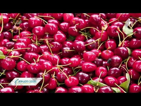 ანთების საწინააღმდეგო და ანთების გამომწვევი პროდუქტები