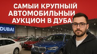 картинка: Самый крупный автомобильный аукцион в Дубай. Обзор специалиста по подбору и отправке автомобиля.