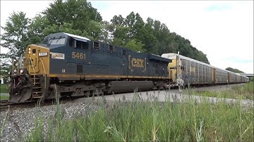 TOTALLY UNEXPECTED - CSX Seaboard System Sticker Unit #5461 Leading Q299 - Newton Falls OH Aug 2017