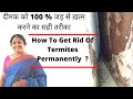 दीमक को 100 % जड़ से ख़त्म करने का सही तरीका | How To Get Rid Of Termites Permanently  ?