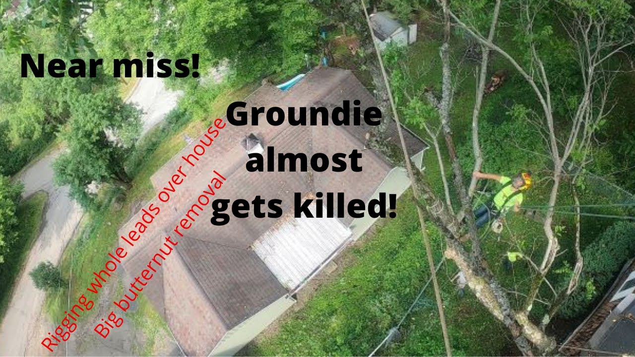 Near miss! Rigging a big butternut tree over houses. - YouTube