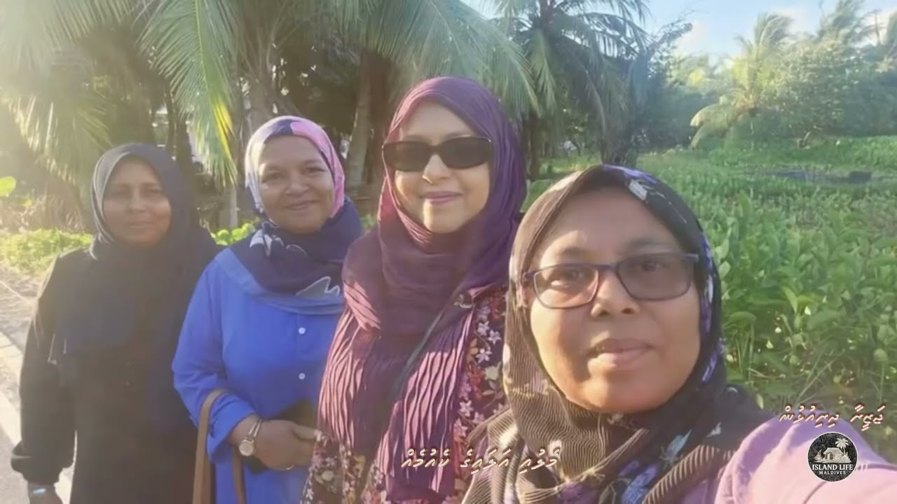 The Taro Feast of Addu