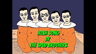 Irish Song by The Spud Brothers (Disco Beaver from Outer Space)