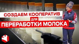 Кооператив для создания переработки молока | Молочное животноводство