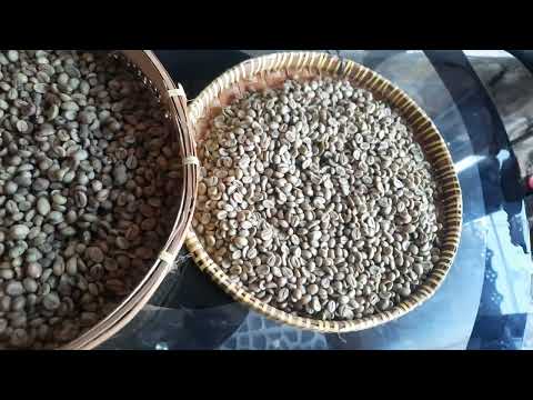 #ilmukopi | Biji