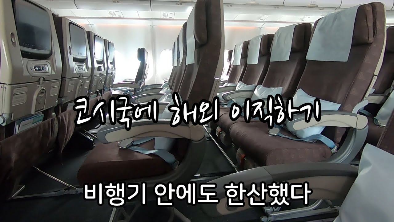 🇳🇱 코시국에 네덜란드로 이직하기