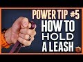 How to Hold a Leash Like the Pros!