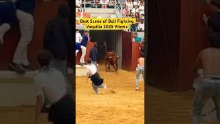 Best Scene Of Bull Fighting Vaquilla 2025 Vitoria