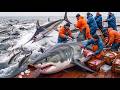Unbelievable! We Caught a Massive Great White Shark (4K)
