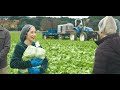 Church Brothers Farms 2023 Internship Program