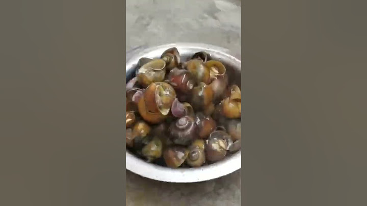 Snail 🐌 Gravy 😊#snail #snailrecipe #cooking #foody #villagecooking #villagefood #snails 😊😊