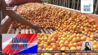 3 tonelada ng kamatis, itinapon o kayay ipinakain sa mga alagang hayop | Unang Hirit