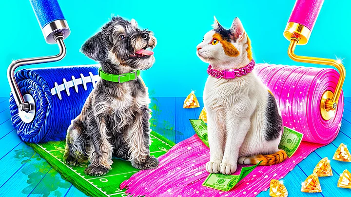 Rich Cat vs Poor Dog! We Adopted a Pet!