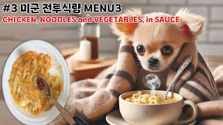 미국식 감기약 미국 Mre Menu3 Chicken Noodles And Vegetables, In Sauce
