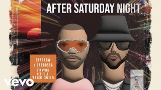 Video thumbnail of "After Saturday Night (Cover Audio)"