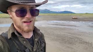 The Truth About Brown Bears. by Grizzly Alaska 741 views 1 year ago 1 minute, 31 seconds