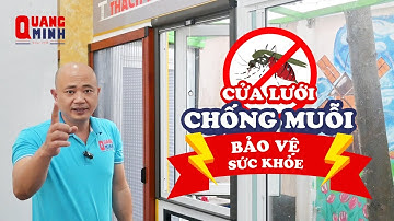Bảo Vệ Sức Khỏe Gia Đình Với Cửa Lưới Chống Muỗi