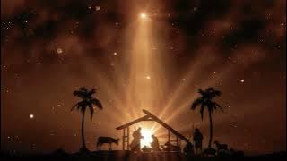 FREE Download Christmas Day Background Video HD | Jesus Born |No Copyright | Nativity Scene Video