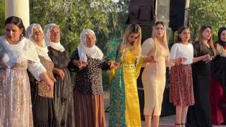 Piyanist Hakan Silopi Grani