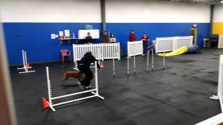 Java does agility