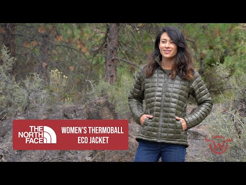 the north face women's thermoball eco hoodie