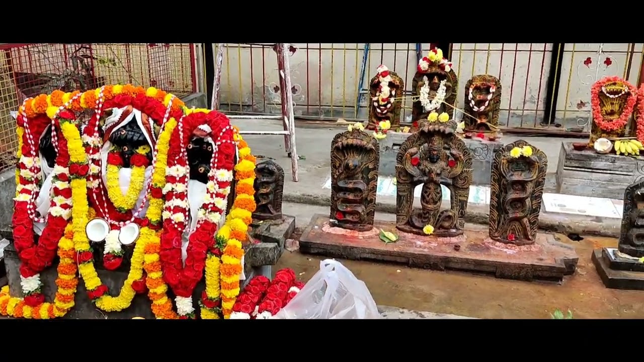 Naga Pratishtapana And Sarpa pooja 🙏 