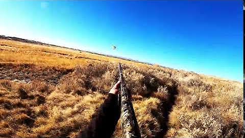 Pheasant hunting GoPro 8 Black Test