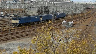 2022/12/01   JR東海道線　稲沢機関区の撮影ポイント　　その２