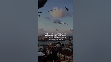تلاوة هادئة تريح الاعصاب 💚 قران كريم💚  بصوت جميل 💚 تلاوة عطرة ✨