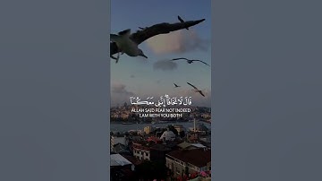 تلاوة هادئة تريح الاعصاب 💚 قران كريم💚  بصوت جميل 💚 تلاوة عطرة ✨