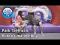 Park Taehwan, Korea's marine boy (Stars' Top Recipe at Fun-Staurant) | KBS WORLD TV 200915