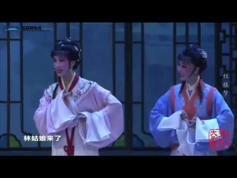 【挪子美学】水龙吟 （王婉娜X单仰萍cp）