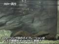 １０インチカットテール　～アクション編 Ｐａｒｔ ２～