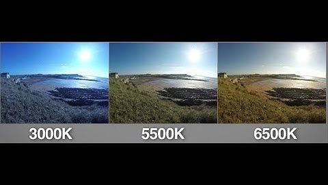 Protune Mode on GoPro HERO 3+ : Capture the Action with Martin Dorey