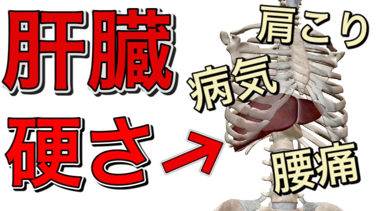 【肝臓　痛み】肝臓の痛みは万病の元。肝臓の硬さを取る簡単な方法　【熊谷市】
