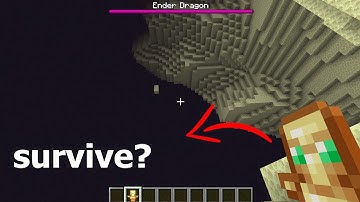 what if you jump into the void with a totem of undying?