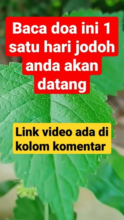 TERJAMIN BACA DOA INI JODOH ANDA AKAN DATANG,DOA ENTENG JODOH, SHOLAWAT PELANCAR JODOH