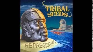 Tribal Seeds- Representing Feat  Vaughn Benjamin (Midnite) Representing 2014 ) chords