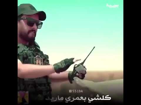 عبد الله الهميم طاير كلبي بالشوك