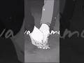 Бір самокат, бір қала, екі жүрек…және тоқтамайтын. #shorts#youtubeshorts#music#newmusic#originalsong