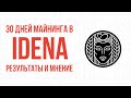 IDENA - 30 дней майнинга, результаты и мнение