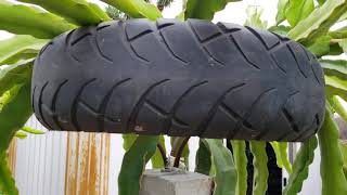 How to choose the right type of tire for your dragon fruit trellis top support