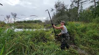 Another Beaver Dam down