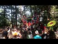 Color Green - 8/2//24 - Pickathon