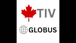 TIV Globus - Multilingual WordPress and WooCommerce
