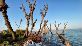 Lake Afdera
