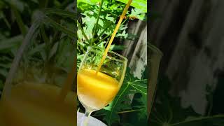 🧡🍹#photography #wildcookbook #traditionaldrinks #srilankanfood #beverages #trending #jaffna 🧡