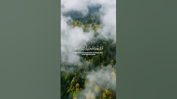 اللهم صلي وسلم وبارك على سيدنا محمد وعلى آله وصحبه أجمعين#قرآن #تلاوة_خاشعة #راحة_نفسية