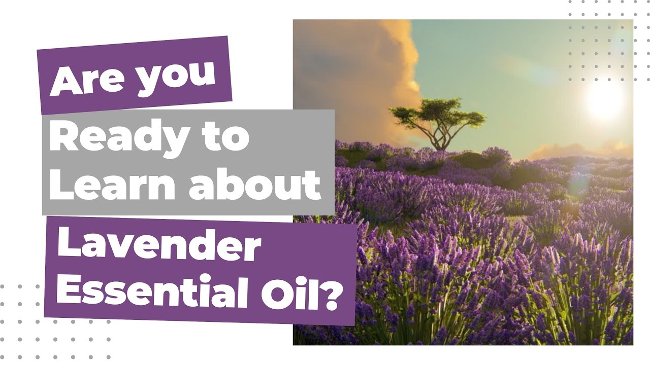 What is Lavender Essential Oil Good For? Ways to use Lavender
